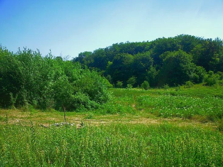Багата Ущелина з panoramio.com - Bagata Uschelyna