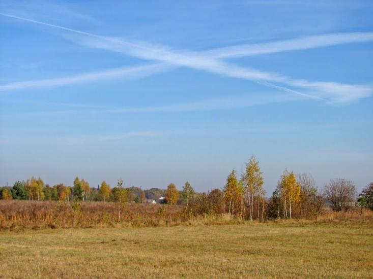 Черемошне з panoramio.com - Черемошне