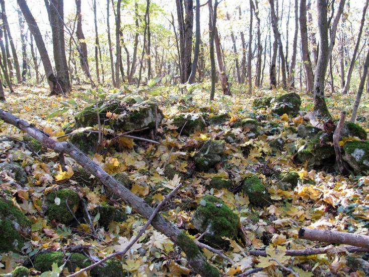 Личківці з panoramio.com - Лычковцы