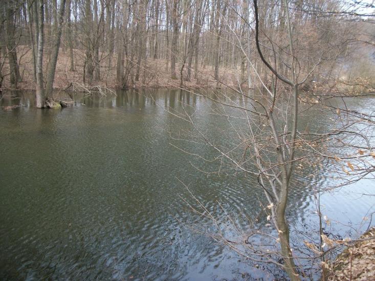 Хмільник з panoramio.com - Хмельник