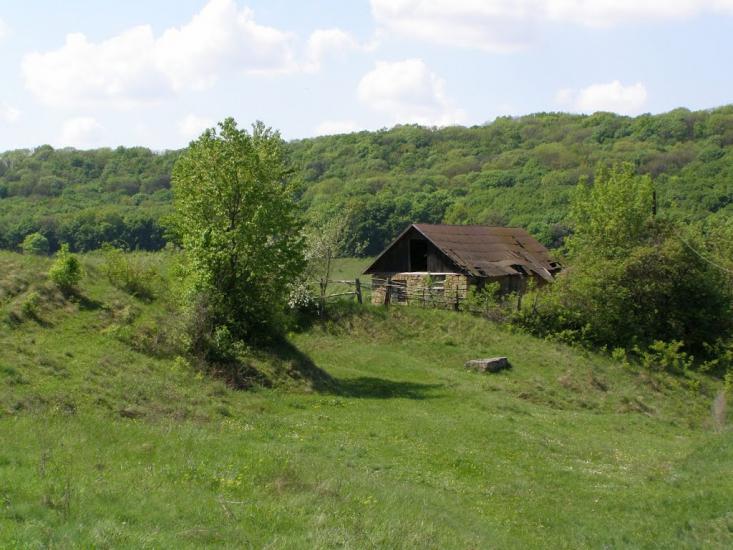 Черкасівка з panoramio.com - Черкасовка