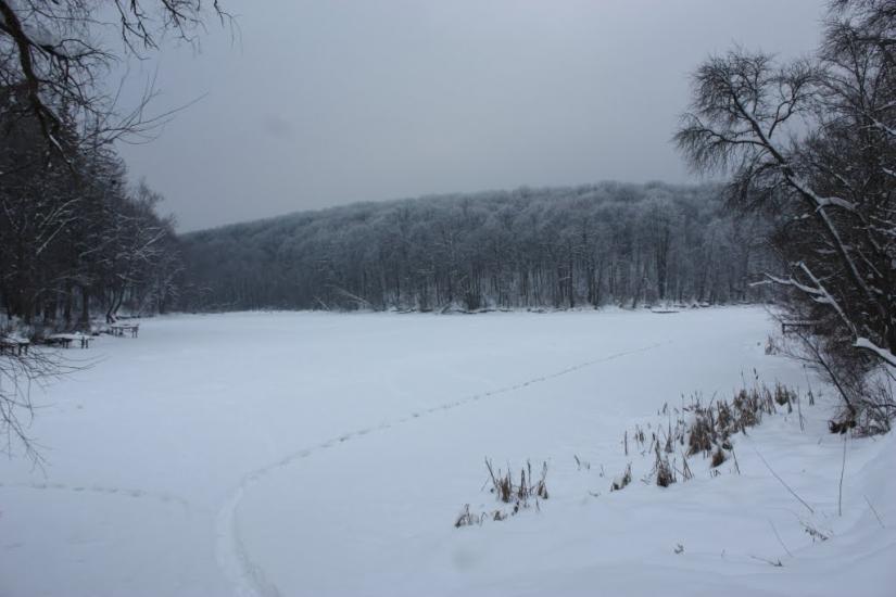 Вакалівщина з panoramio.com - Вакаловщина