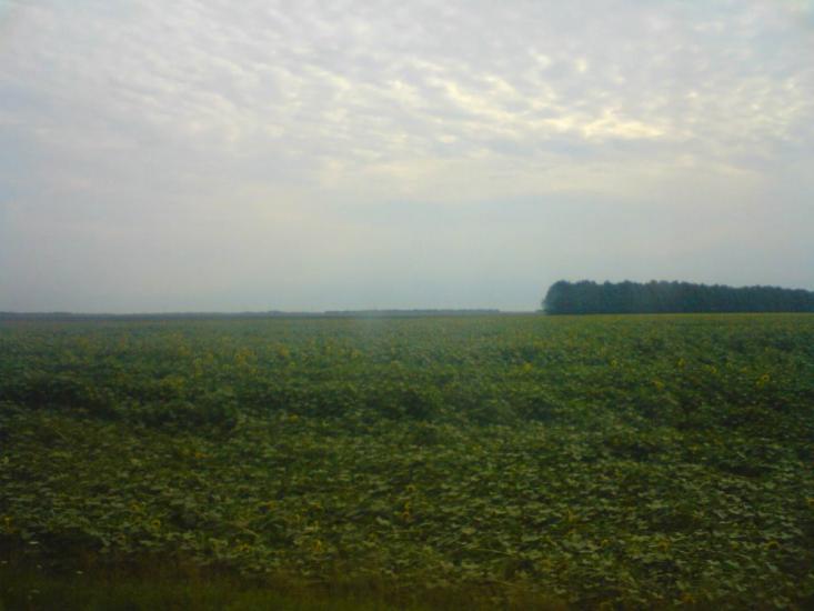 Цьови з panoramio.com - Цевы