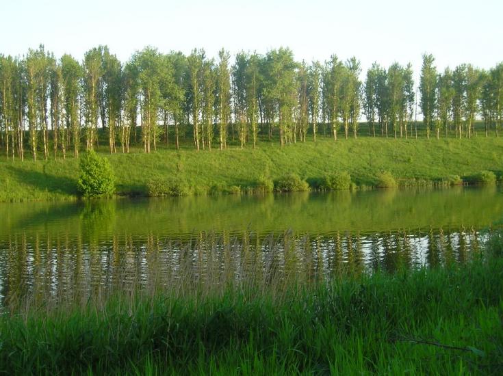 Питомник з panoramio.com - Питомник