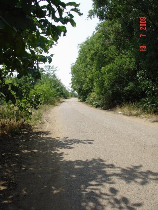 Холодна Балка з panoramio.com - Холодная Балка