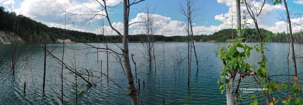 Черепашинці з panoramio.com - Cherepashyntsi