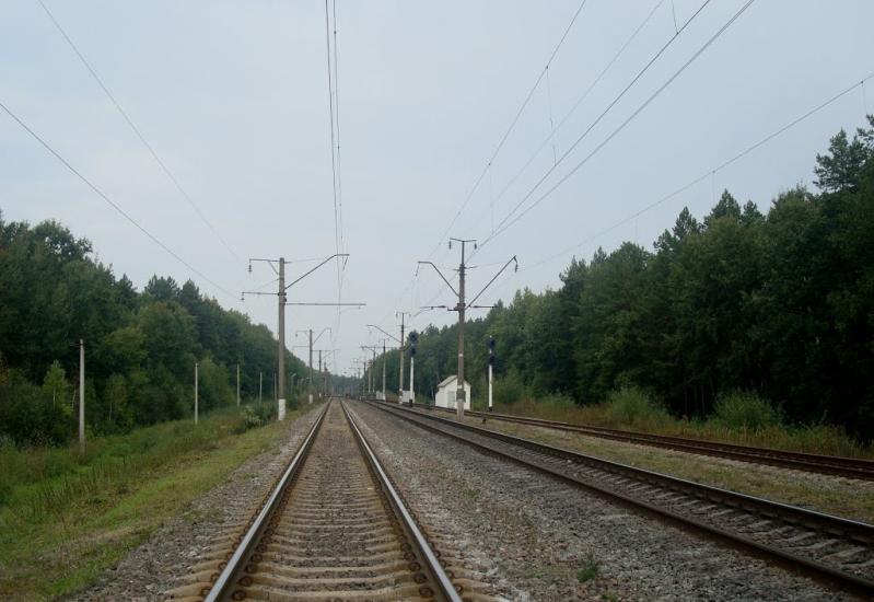 Цвітоха з panoramio.com - Tsvitokha
