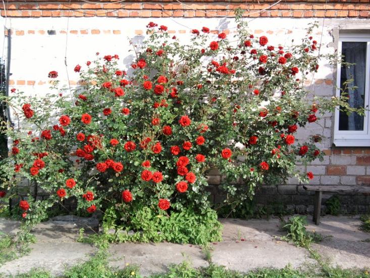 Мартове з panoramio.com - Мартово