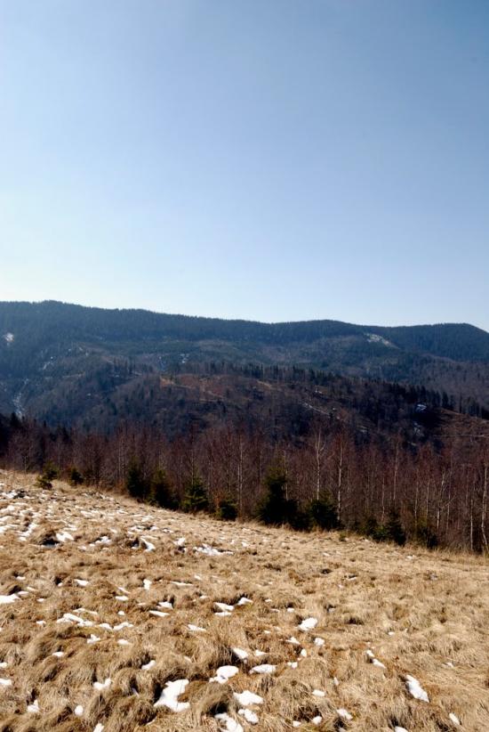 Букове з panoramio.com - Букове