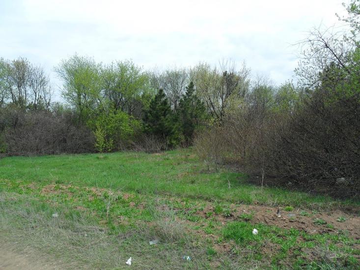 Ясинувата з panoramio.com - Ясиноватая