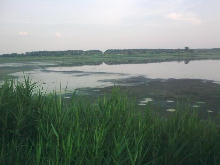 Піски-Радьківські з panoramio.com - Pisky-Radkivski
