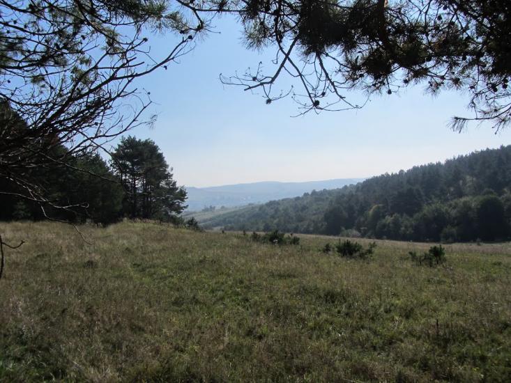 Великі Глібовичі з panoramio.com - Великие Глебовичи