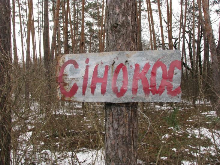 Знаменівка з panoramio.com - Znamenivka