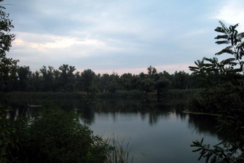 Щастя з panoramio.com - Счастье