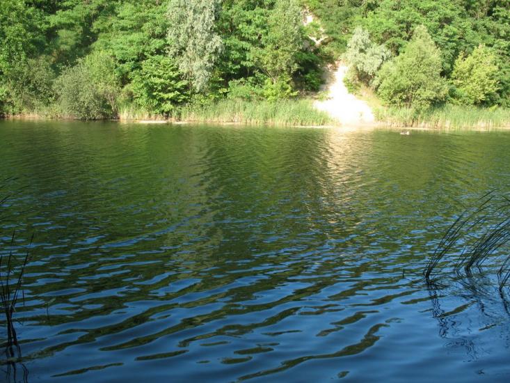 Халеп'я з panoramio.com - Халепье