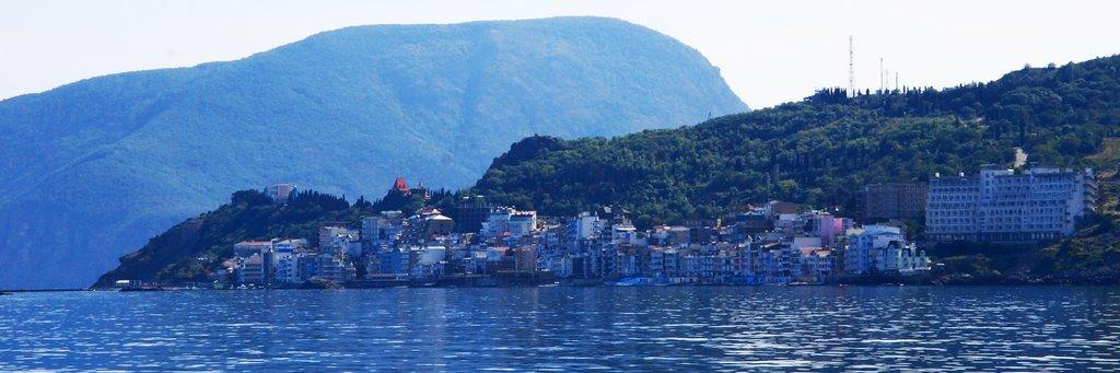 Чайка з panoramio.com - Чайка