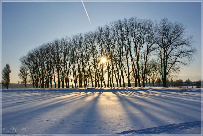 Баранівка з panoramio.com - Baranivka