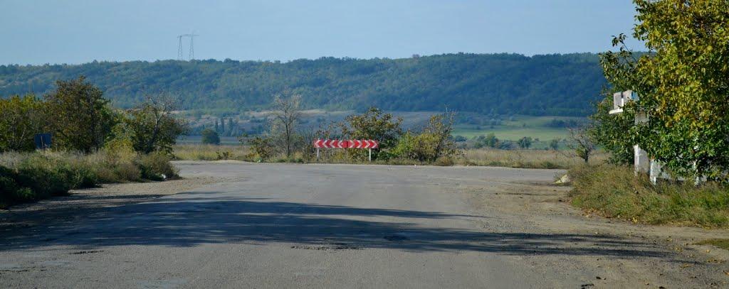 Розалівка з panoramio.com - Розаловка
