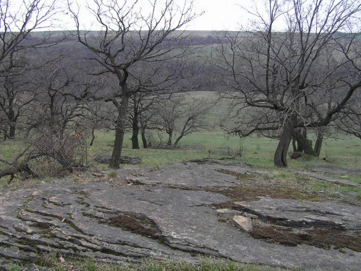 Байрачки з panoramio.com - Байрачки