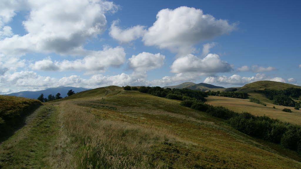 Потік з panoramio.com - Поток