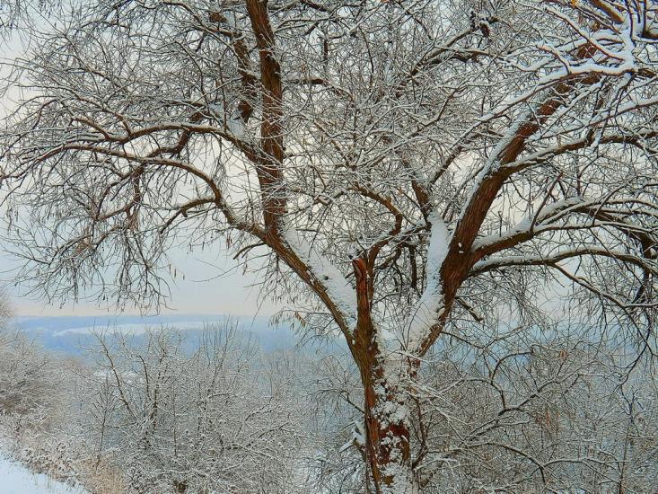 Олександрівське з panoramio.com - Александровское