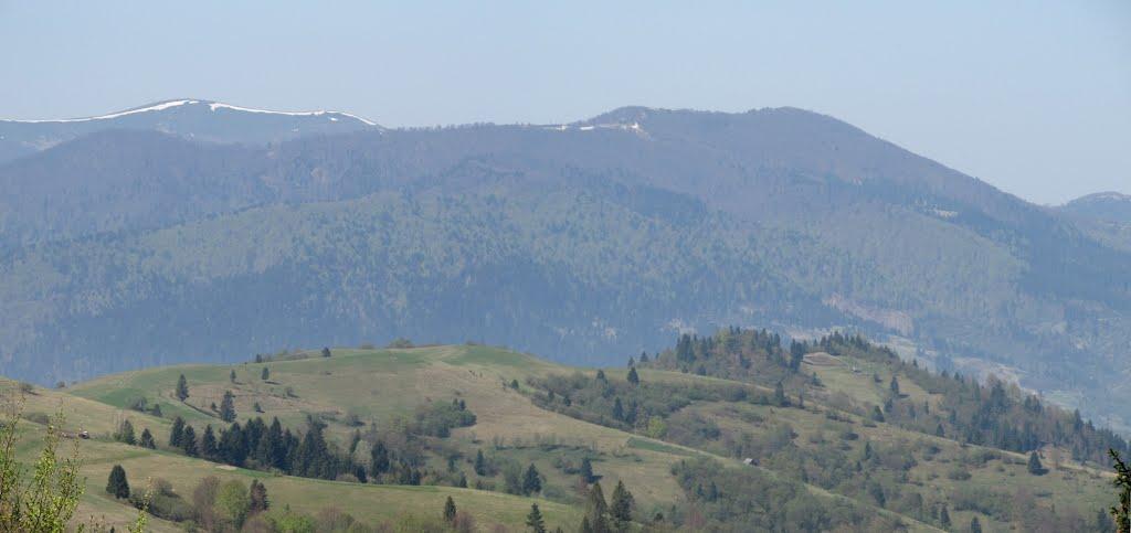 Стригальня з panoramio.com - Strygalnya