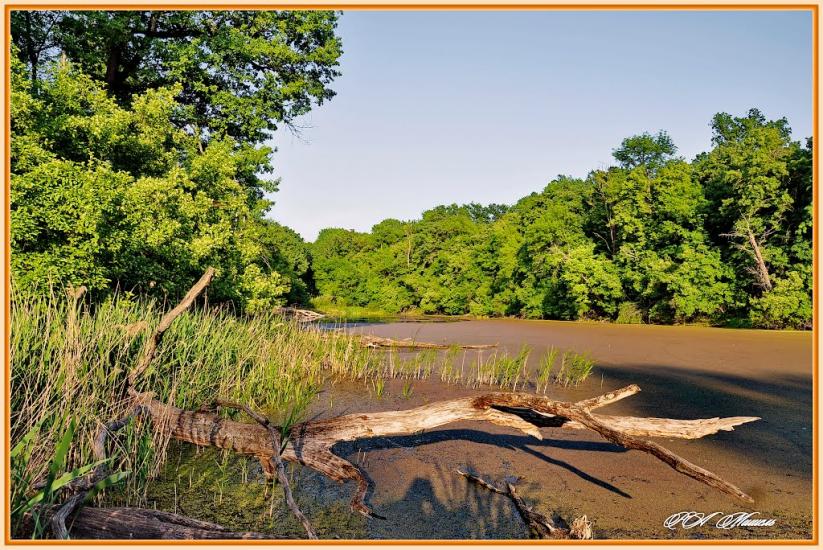 Дронівка з panoramio.com - Dronivka