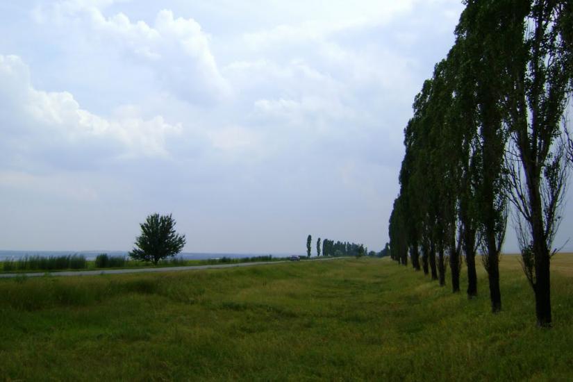 Новий Стародуб з panoramio.com - Новый Стародуб
