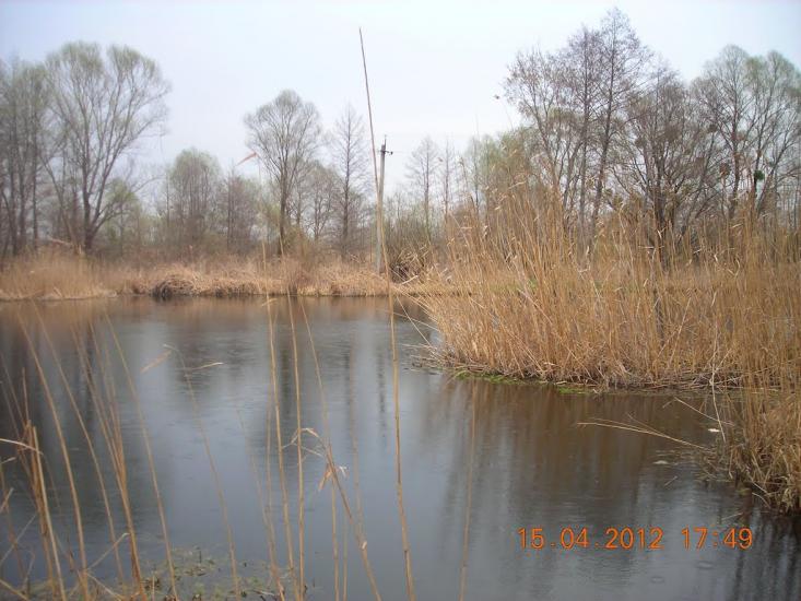 Миргороди з panoramio.com - Миргороды