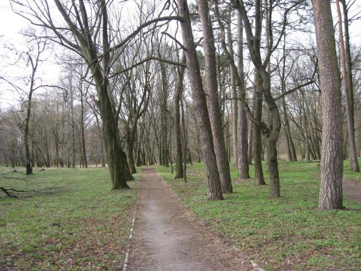 Переможне з panoramio.com - Переможне