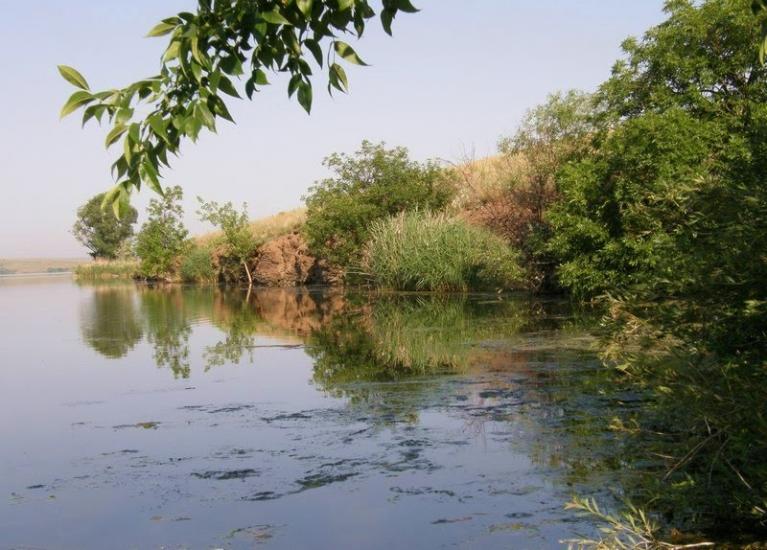 Вільхівка з panoramio.com - Вольховка