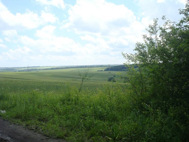 Грузевиця з panoramio.com - Грузевиця