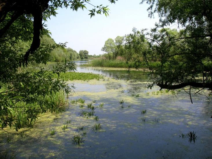 Журавеньки з panoramio.com - Журавеньки