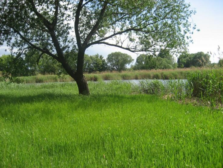 Бирлівка з panoramio.com - Бирлівка