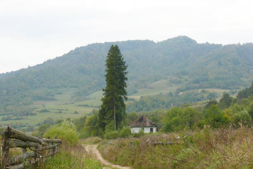 Верхній Лужок з panoramio.com - Верхній Лужок