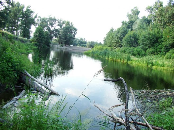 Слиньків Яр з panoramio.com - Слиньків Яр