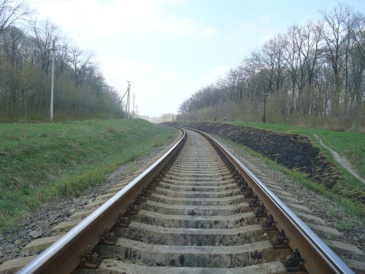 Лісова Волиця з panoramio.com - Лесовая Волица