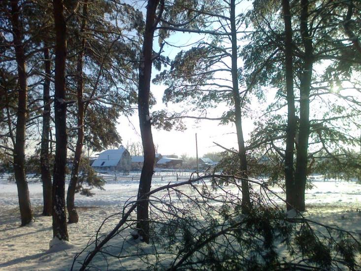 Борівське з panoramio.com - Борівське