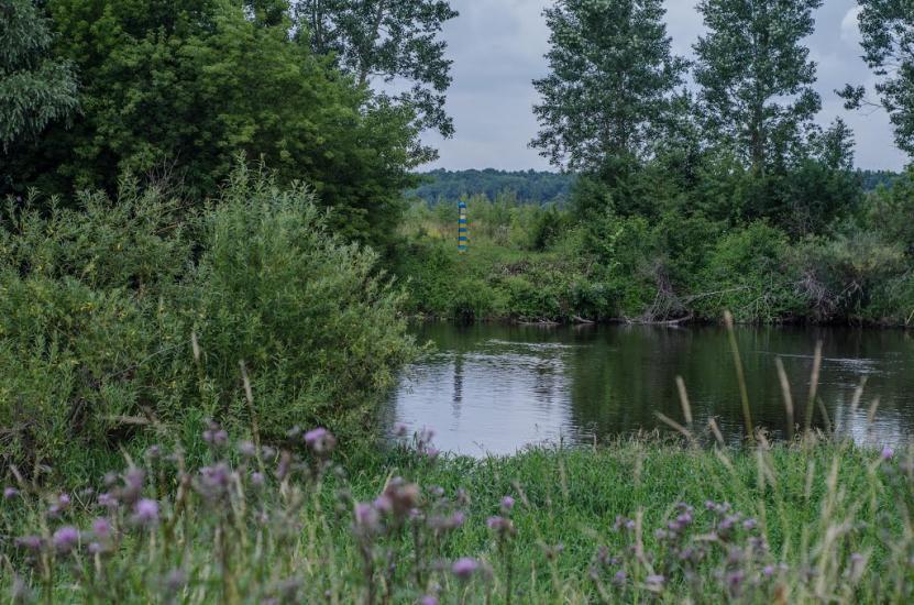 Пархоменкове з panoramio.com - Пархоменково