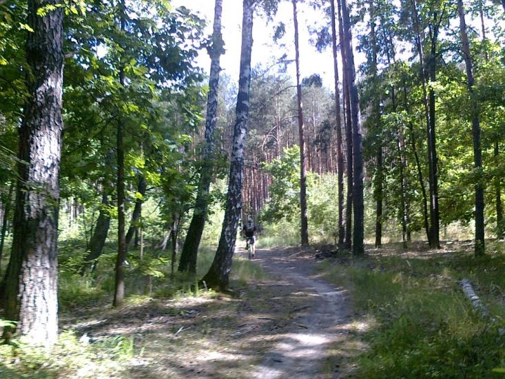 Житомир з panoramio.com - Житомир
