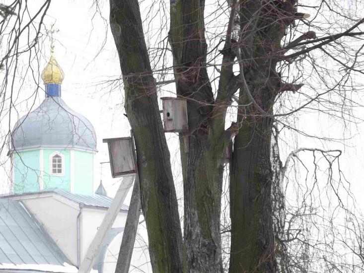 Бодячів з panoramio.com - Бодячів