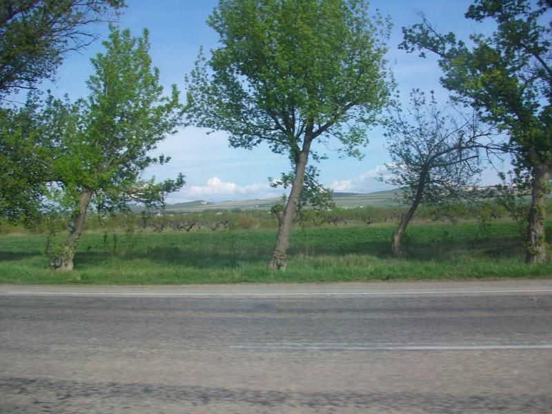 Глибокий Яр з panoramio.com - Глибокий Яр