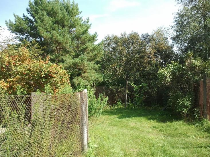 Торф'яне з panoramio.com - Торфяное