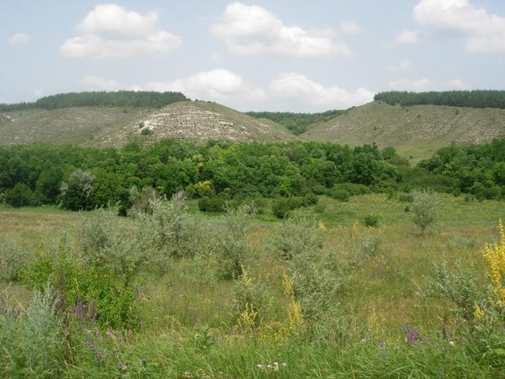 Василівська Пустош з panoramio.com - Василівська Пустош