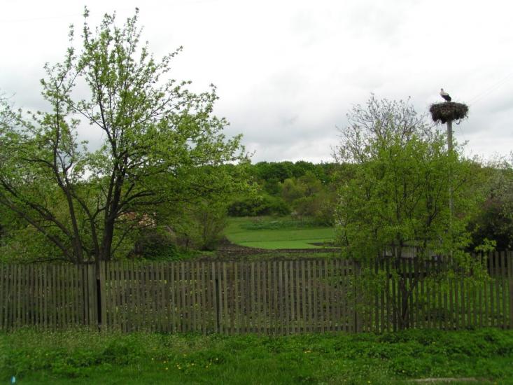 Іванівка з panoramio.com - Іванівка