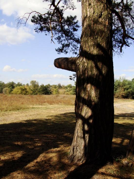Чмирівка з panoramio.com - Чмыревка