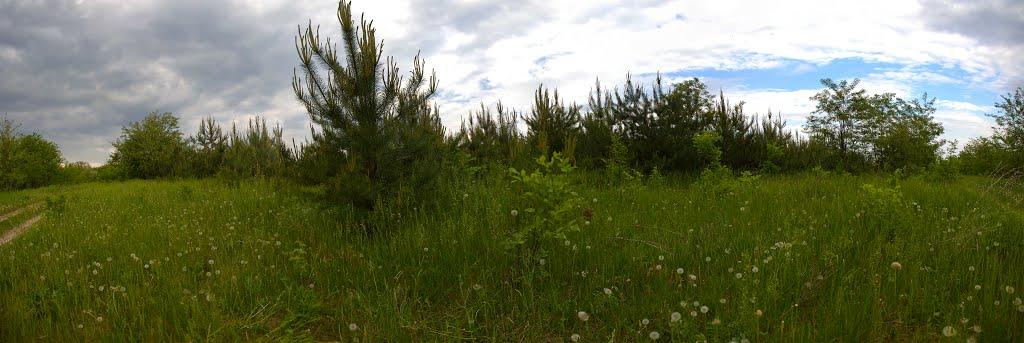 Пекарі з panoramio.com - Пекарі