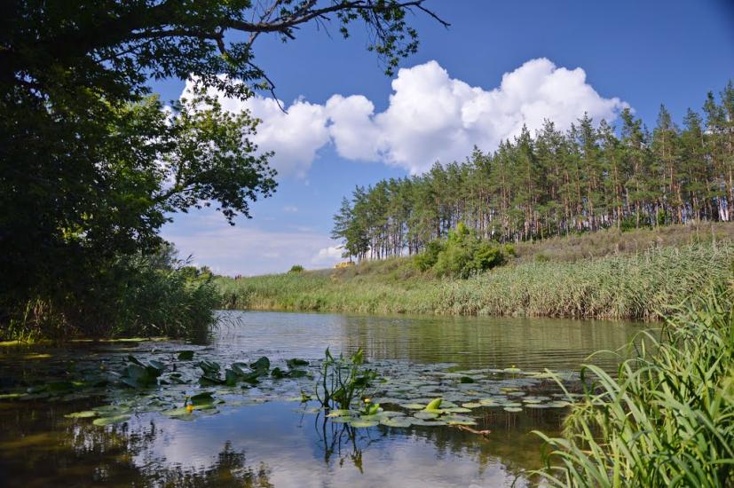 Лиман з panoramio.com - Лиман