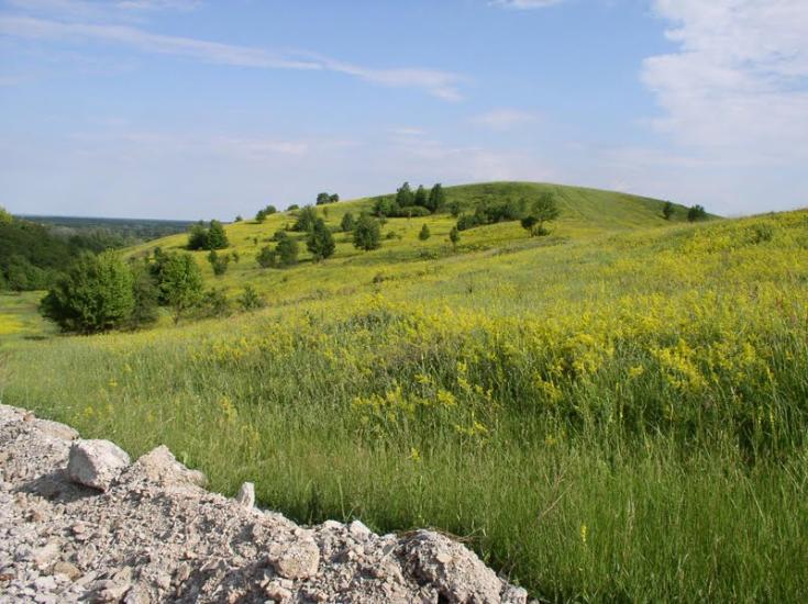 Слиньків Яр з panoramio.com - Слиньків Яр