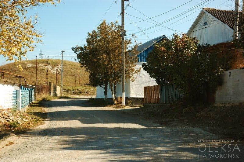 Дачне з panoramio.com - Дачное